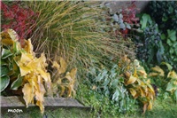 16b527c1-IMG_0491 vrt4.jpg